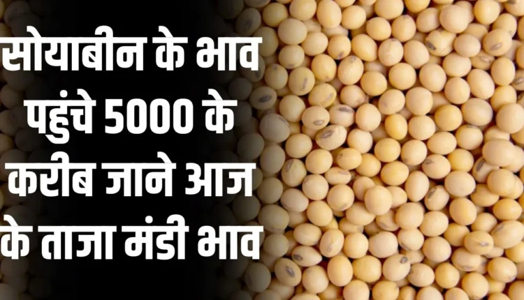 Soyabean Price