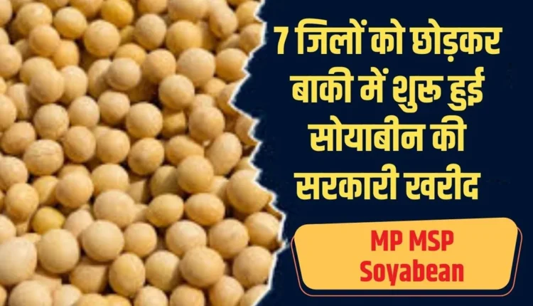 MP MSP Soyabean