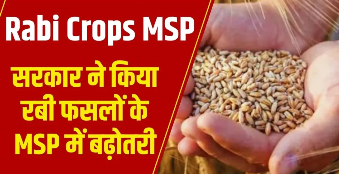 Rabi Crops MSP