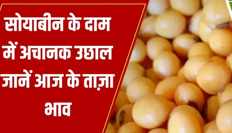 Soyabean Mandi Rate