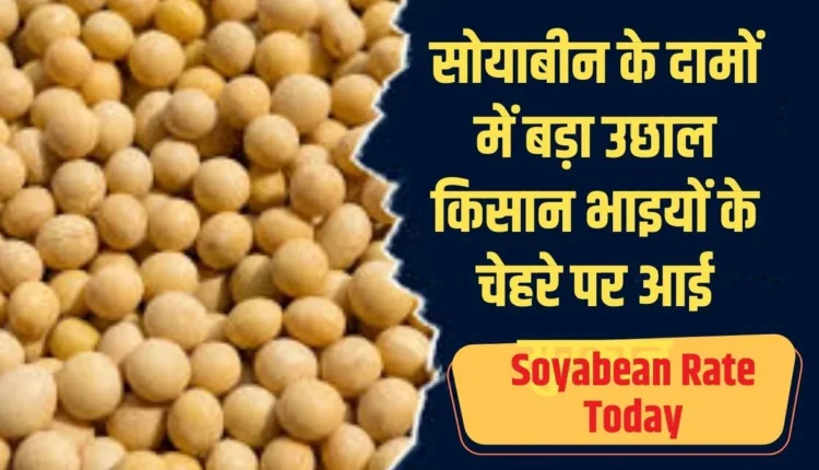 Soyabean Rate Today