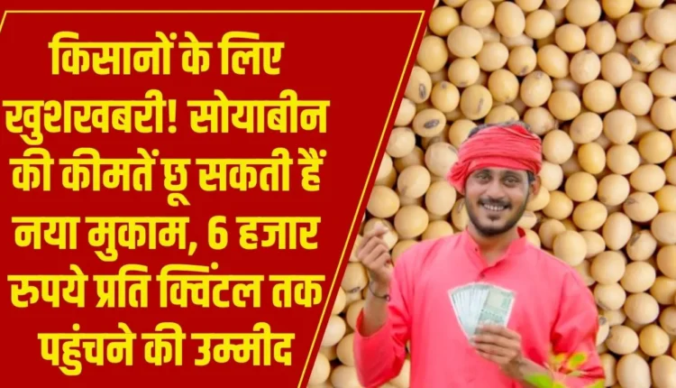 सोयाबीन