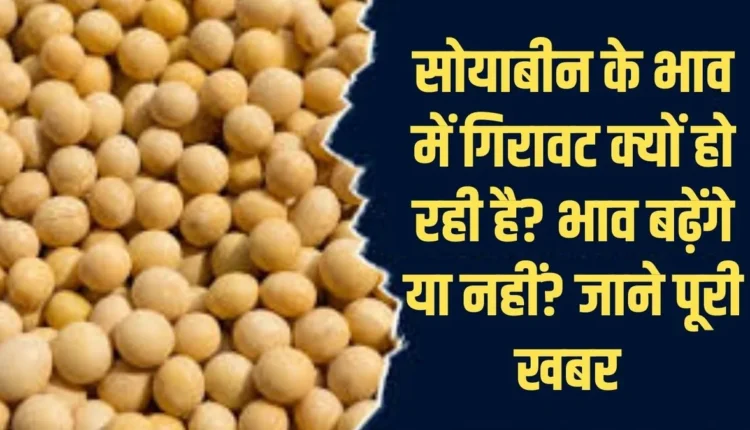 Soyabean Mandi Rate