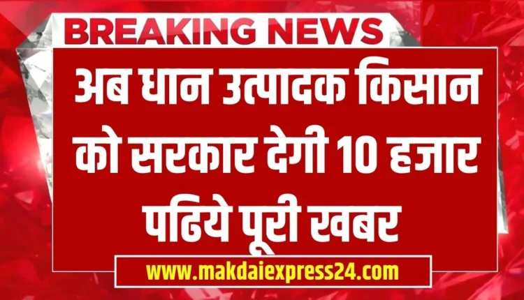धान