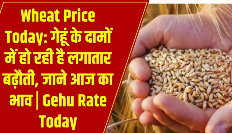 Wheat Price Today