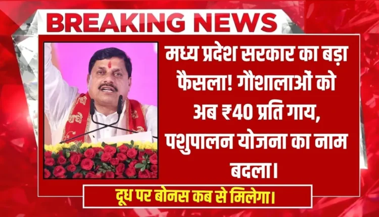 MP Gaushala Policy