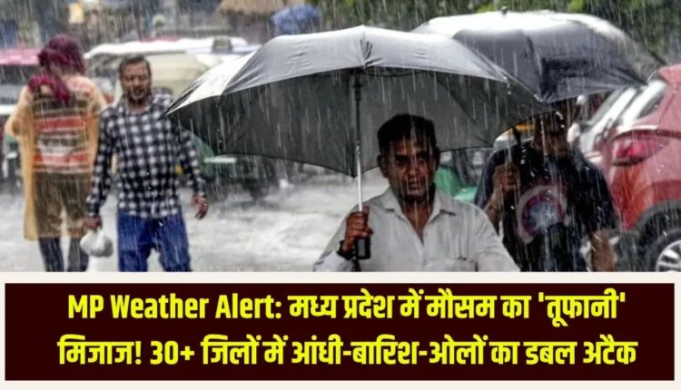 MP Weather