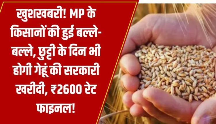 wheat procurement